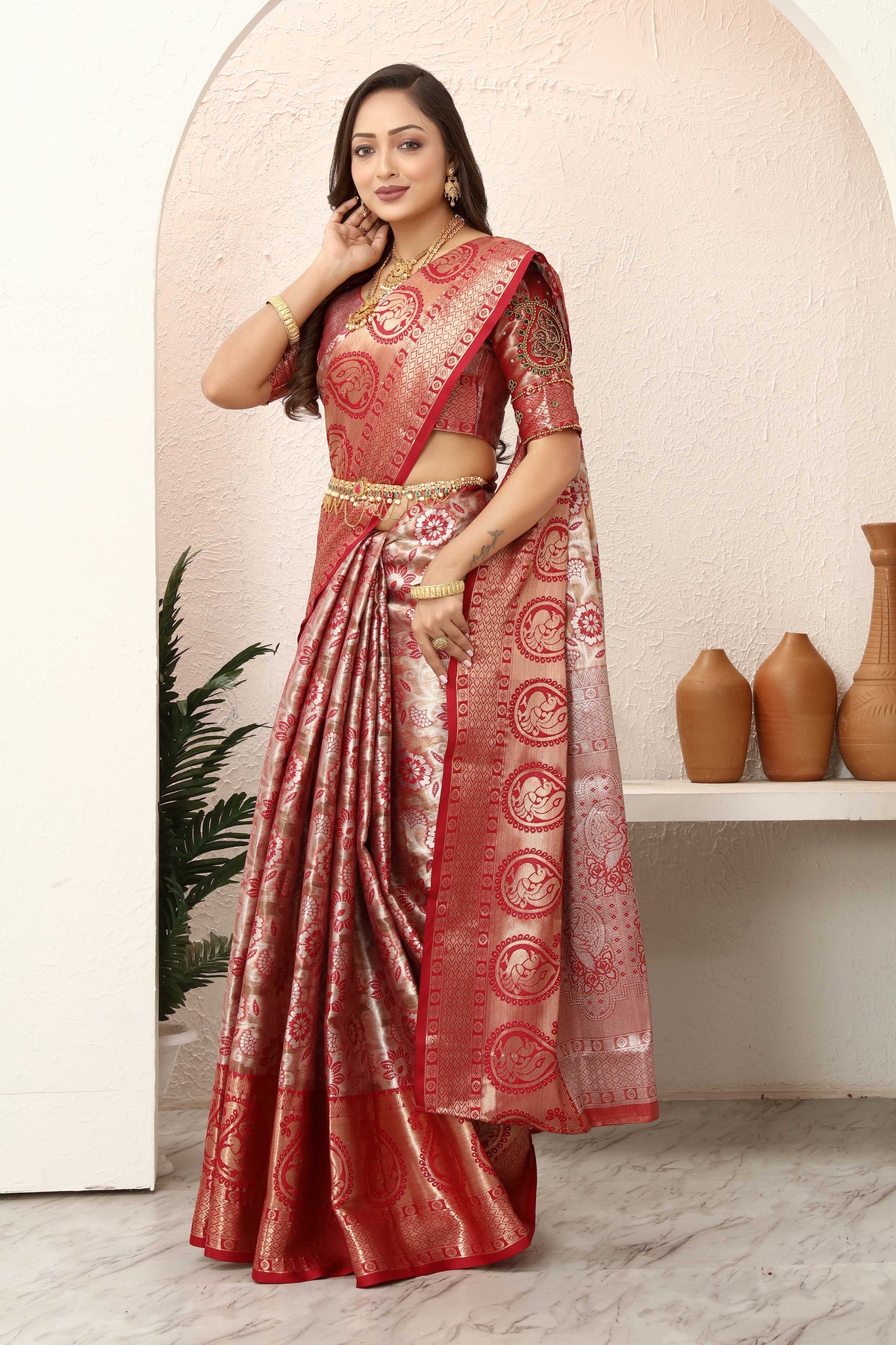 Tissue Silk Saree With Hand made unstitched Ari Work Blouse Design